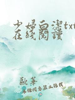 少妇白洁txt在线阅读