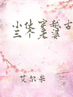 小伙穿越古代娶三个老婆