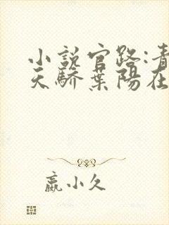 小说官路:青云天骄叶阳在线阅读