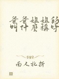 爸爸姐姐的老公叫什么称呼呢