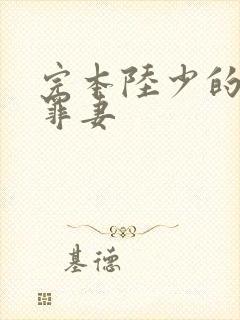 完本陆少的隐婚罪妻