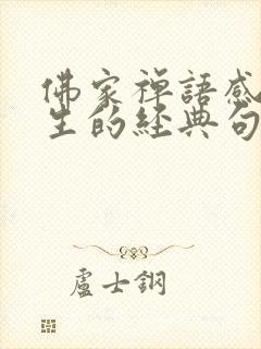 佛家禅语感悟人生的经典句子