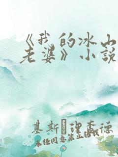 《我的冰山总裁老婆》小说
