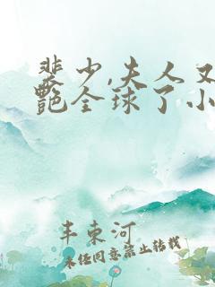 裴少,夫人又惊艳全球了小说第一部