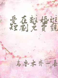 爱在离婚进行时短剧免费观看