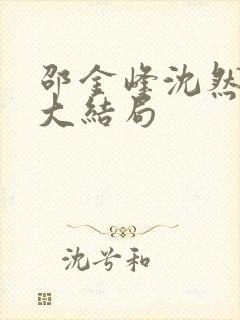 邵金峰沈然小说大结局
