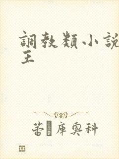 调教类小说双男主