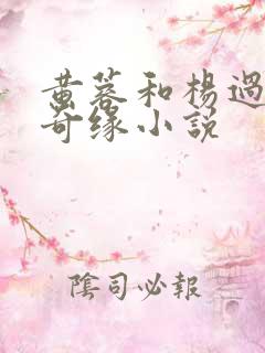 黄蓉和杨过荒岛奇缘小说