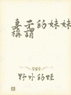 妻子的妹妹书面称谓