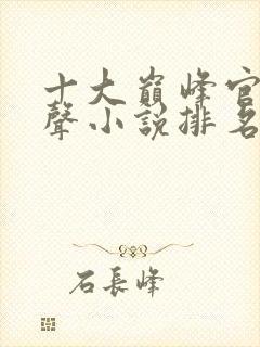 十大巅峰官场有声小说排名