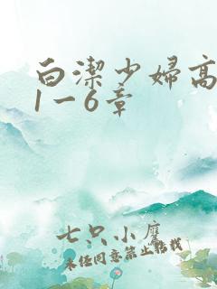 白洁少妇高义第1一6章