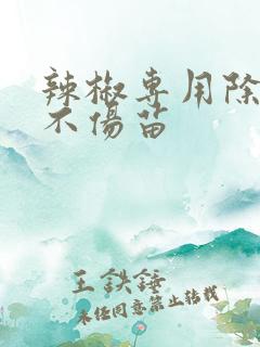 辣椒专用除草剂不伤苗