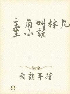 主角叫林凡的重生小说
