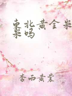 东北黄金米是玉米吗