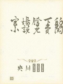 官场胯下的高官小说免费阅读