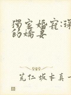 独家婚宠:琛少的娇妻