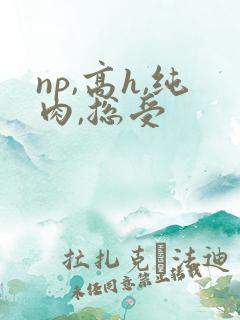 np,高h,纯肉,总受