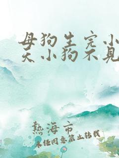 母狗生完小狗二天小狗不见了怎么办