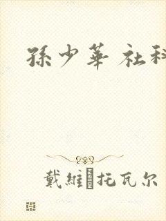 孙少华 社科院