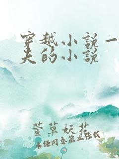 穿越小说一女多夫的小说