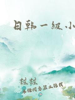 日韩一级小淫片