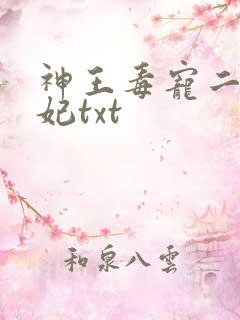 神王毒宠二嫁王妃txt