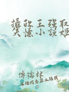 摄政王强取豪夺失忆小说姬燕