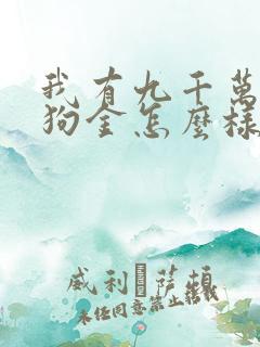 我有九千万亿舔狗金怎么样