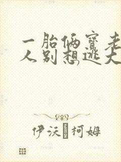一胎俩宝老婆大人别想逃大结局