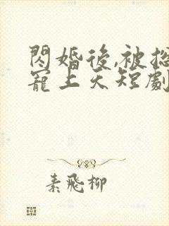 闪婚后,被总裁宠上天短剧全集最新章