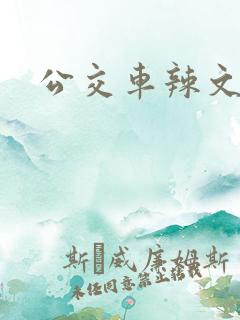 公交车辣文合集 公交车辣文合集