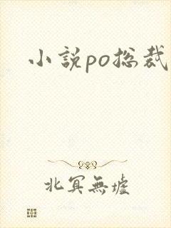 小说po总裁h