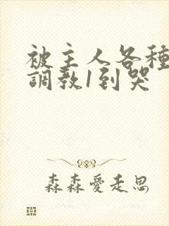 被主人各种姿势调教1到哭
