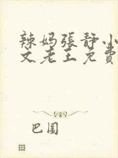辣妈张静小说全文老王免费阅读