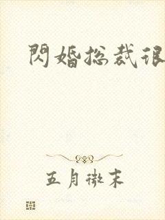 闪婚总裁很霸道