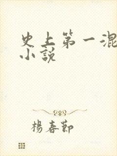 史上第一混乱 小说