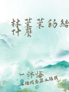 林茉茉的结局是什么