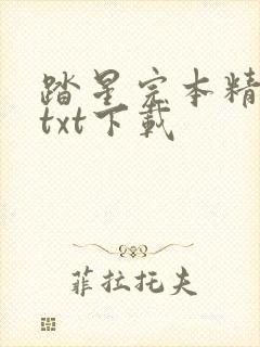 踏星完本精校版txt下载