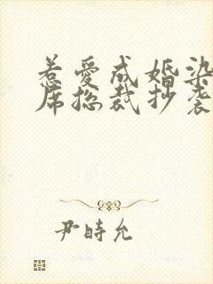 惹爱成婚染指首席总裁抄袭哪部小说