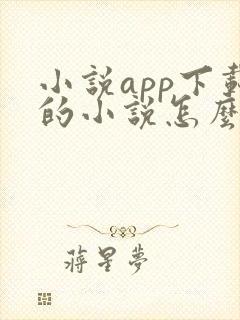 小说app下载的小说怎么导出