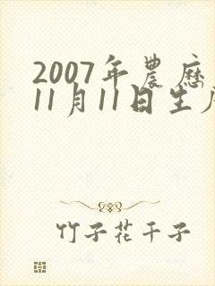 2007年农历11月11日生辰八字