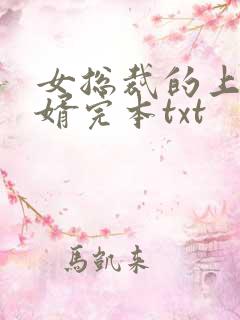 女总裁的上门龙婿完本txt