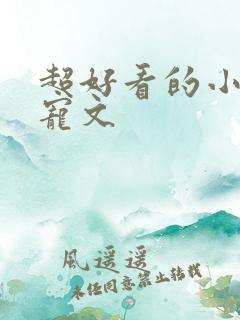 超好看的小说甜宠文