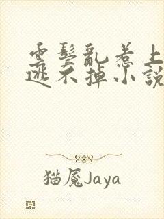 云鬓乱惹上权臣逃不掉小说全文免费阅读