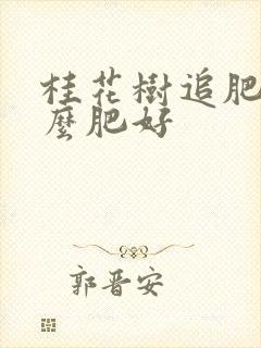 桂花树追肥用什么肥好