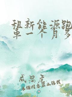 租新能源跑网约车一个月多少钱