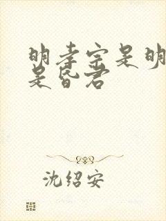 明孝宗是明君还是昏君