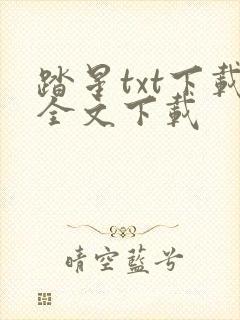 踏星txt下载全文下载