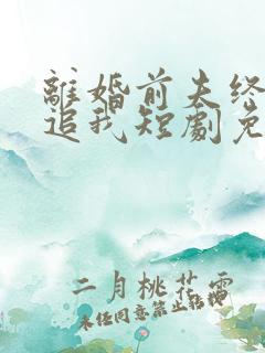 离婚前夫终是想追我短剧免费观看