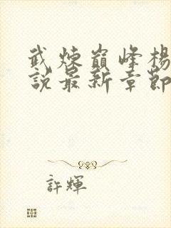 武炼巅峰杨开小说最新章节精校版